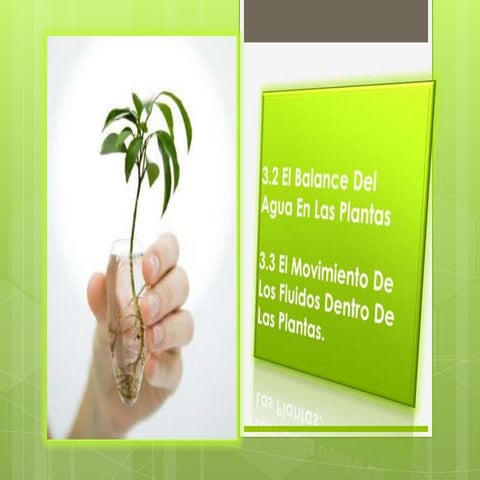 Presentacion terminada