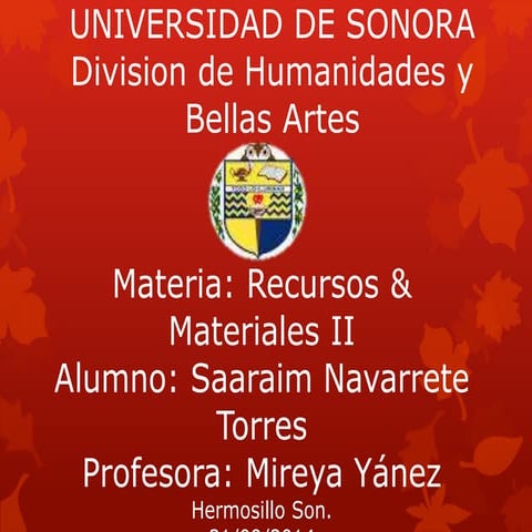 Using THERE IS ang THERE ARE