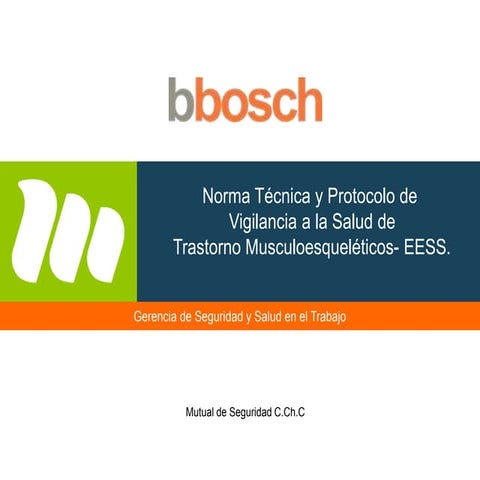 PRESENTACION TMERT (1).pptx