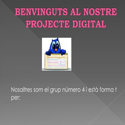 Presentacio projecte