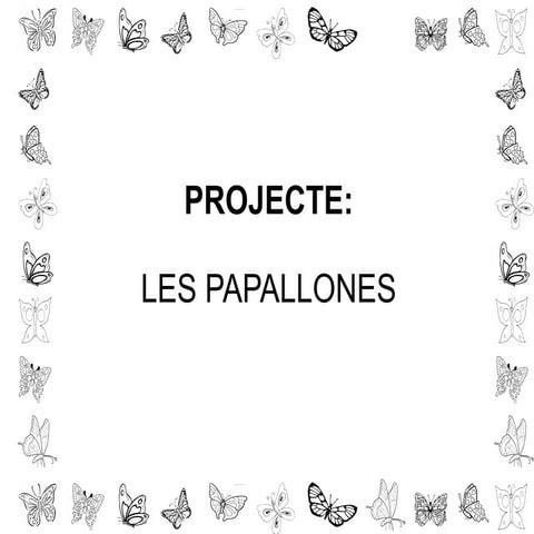 Presentacio papallones fitxetes