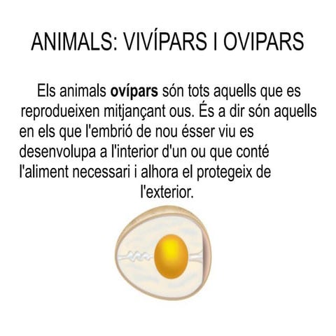 Presentació ovípars i vivípars