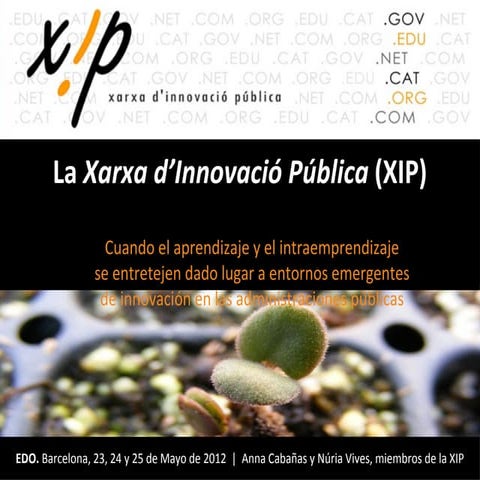 Presentació xip edo 2012