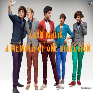 Zayn Malik 