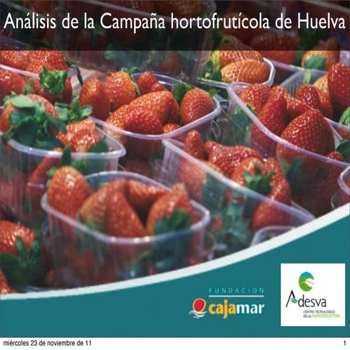 Informe Campaña Huelva 2011