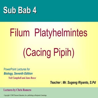 Power Point Biologi SMA Platyhelmin...