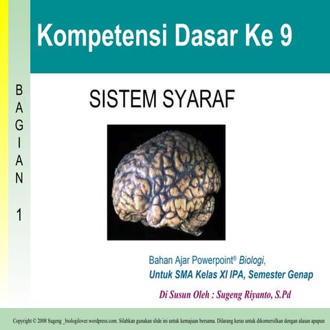 Presentasi Sistem Syaraf 1