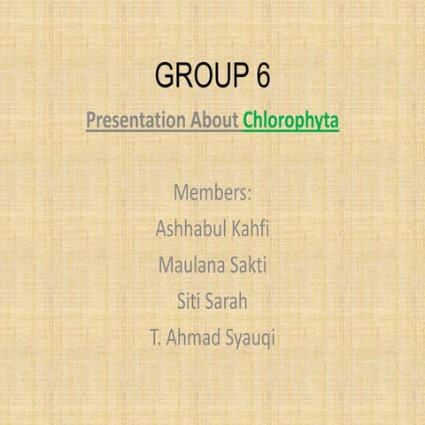 Presentasi biologi   chlorophyta (2)