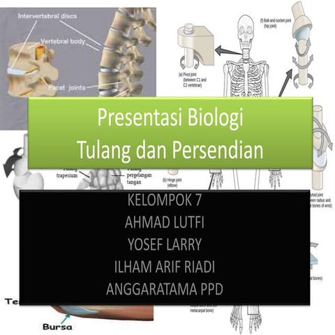 Tulang dan Persendian