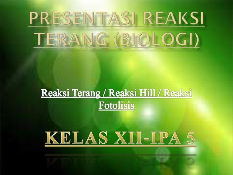 Reaksi Terang Fotosintesis Ppt Wa