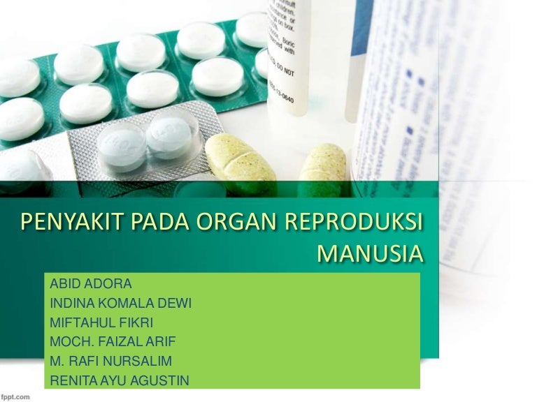 Penyakit Pada Organ Reproduksi Kista Ovarium Prostatitis
