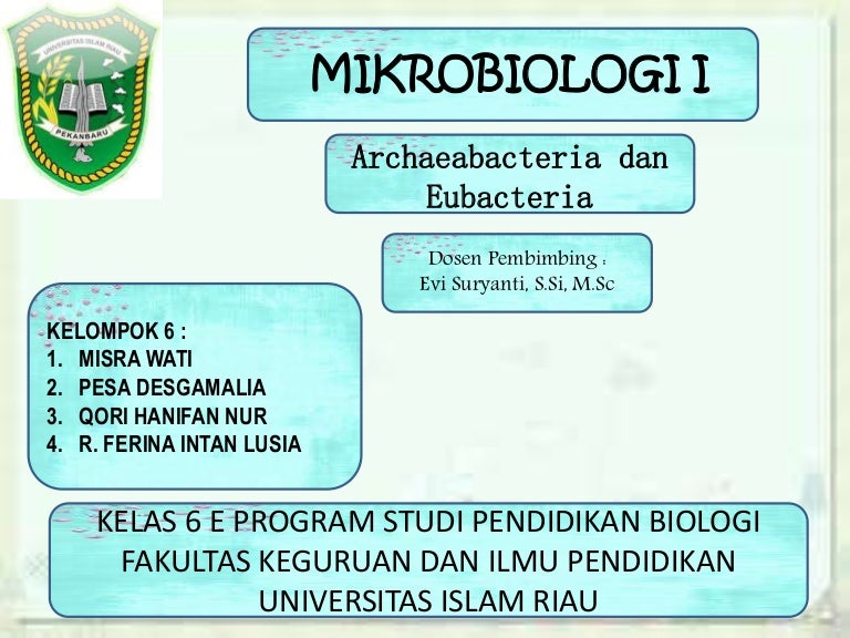Archaebacteria Eubacteria