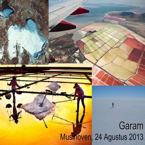 Presentasi musihoven