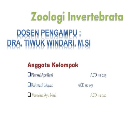 Presentasi zoologi invertebrata filum platyhelminthes