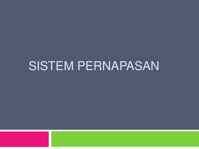 Presentasi Sistem Pernapasan