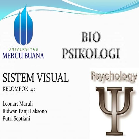 Presentasi sistem visual