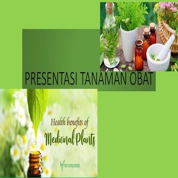 PRESENTASI TANAMAN OBAT.pptx