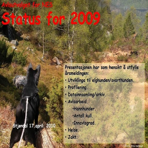 Presentasjon for rs[1] pdf (1)