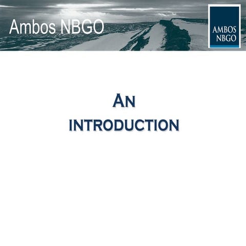 Company presentation Ambos NBGO Advocaten