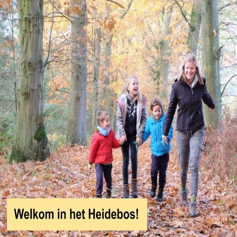 Presentatie Heidebos 13 juni 2017 | PPTX