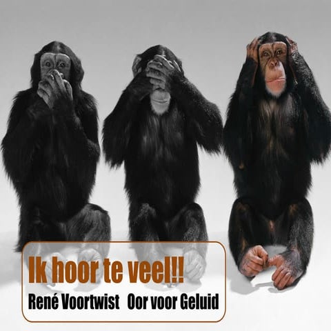 Een therapie voor geluidsovergevoeligheid (Hyperacusis) en Tinnitus