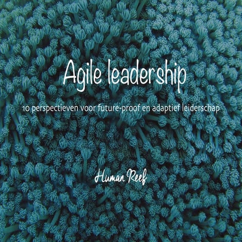 Agile leadership - Wendbaar leiderschap