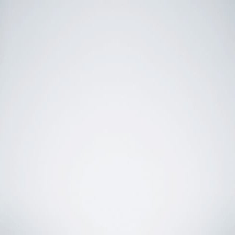 Trendpresentatie 2010