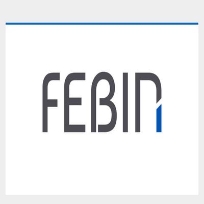 FEBIN PRESENTATION 