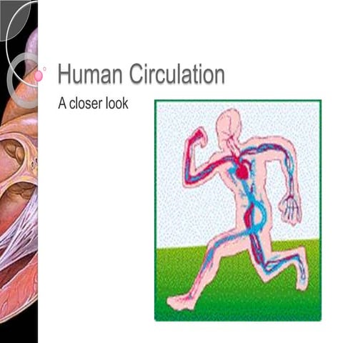 Presentation 08 - Human Circulation