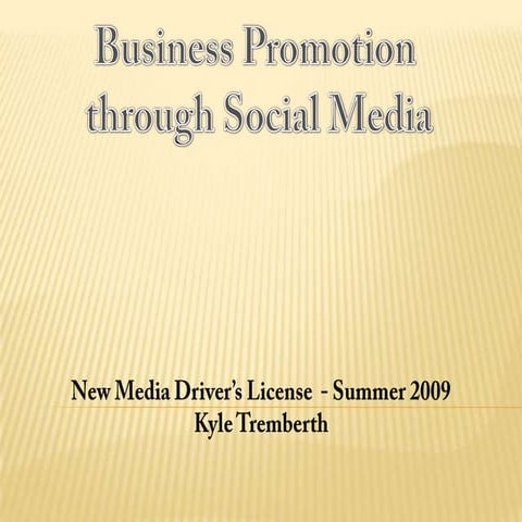 Business Promotion through Social Media