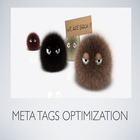 Meta Tags Optimization (Extended)