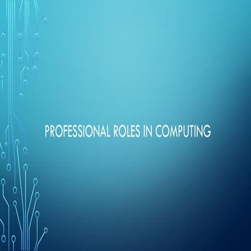 Comprehensive Overview of Professional Roles and Responsibilities in ...
