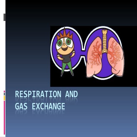 Presentation 10 - Respiration and Gas Exchange