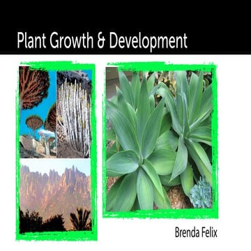 Plant Growth & Development