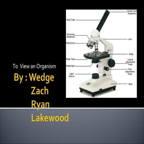 Microscope Lab | PPTX