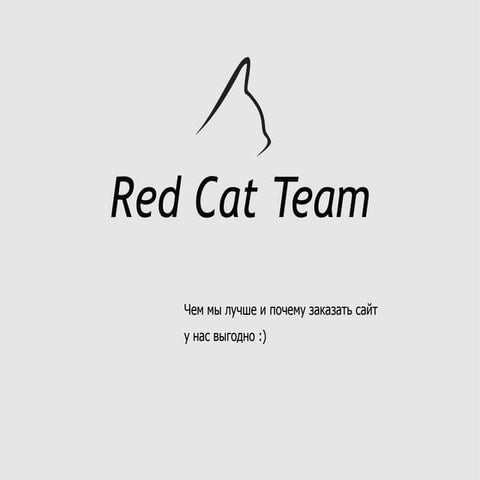 Red Cat Team Presentation