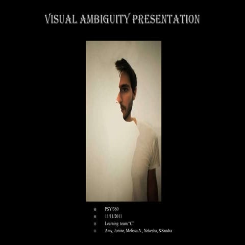 Visual Ambiguity Presentation