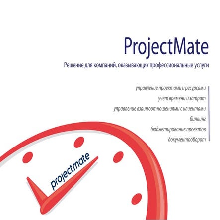 ProjectMate - решение для компаний, оказывающих профессиональные услуги
