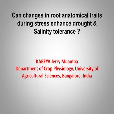 Can changes in root anatomical traits during stress enhance drought &  Salini...