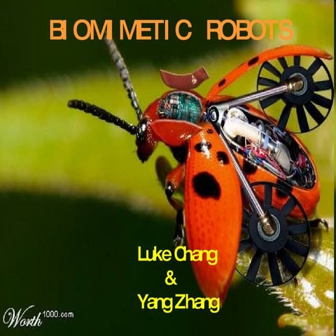 Biomimetic Robot