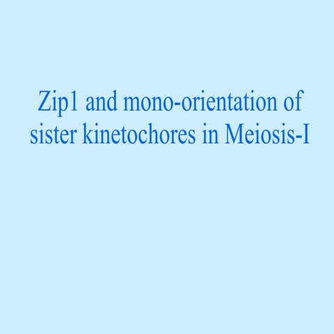 Kinetochore and Zip1