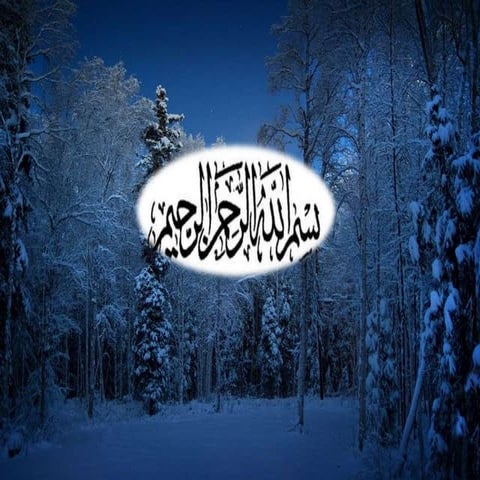 Lower Gastrointestinal Bleeding