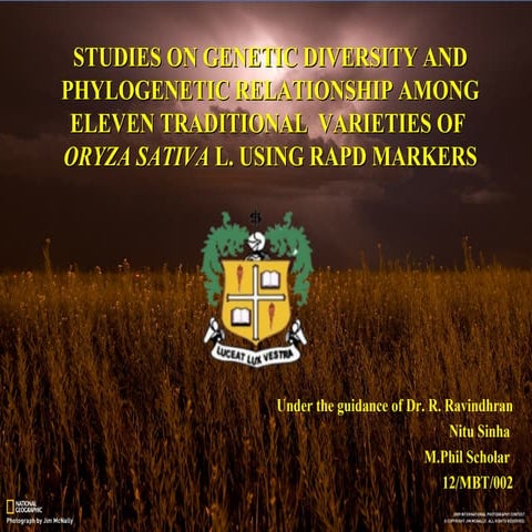 Study on genetic diversity and phylogenetic relationship among eleven traditi...