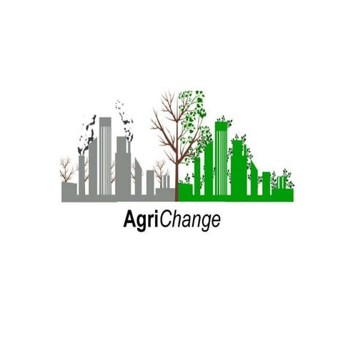 Grow your own pesticide free food - Urban Hydroponics (soilless culture)