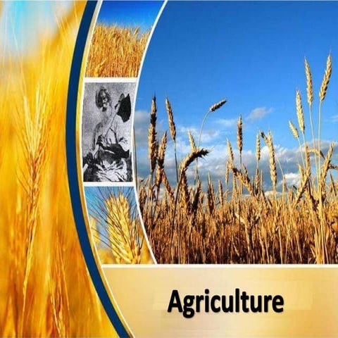 Agriculture in India