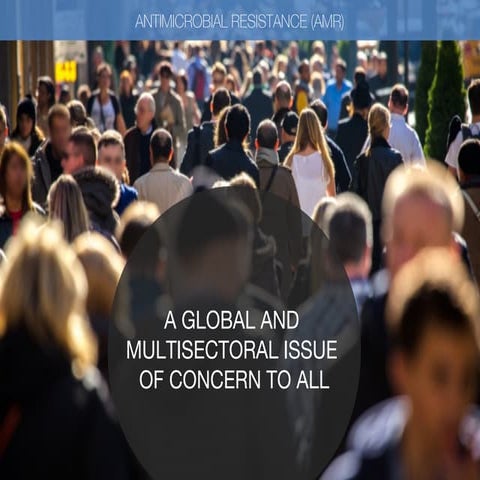 Antimicrobial Resistance (AMR): A global and Multisectoral issue of concern t...