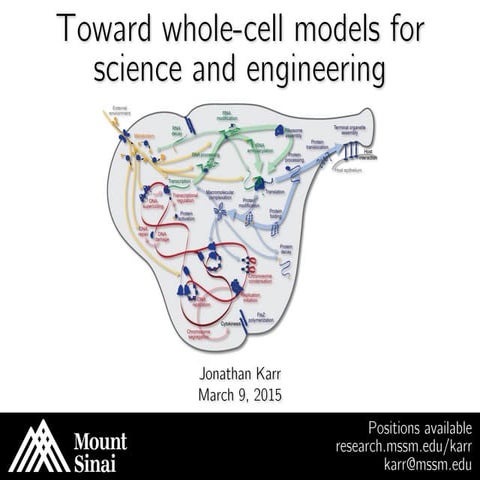 Introduction to whole-cell modeling lecture | Whole-cell modeling summer scho...