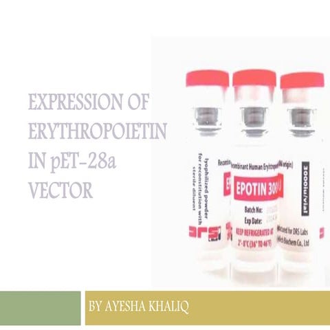 Erythropoietin | PPT