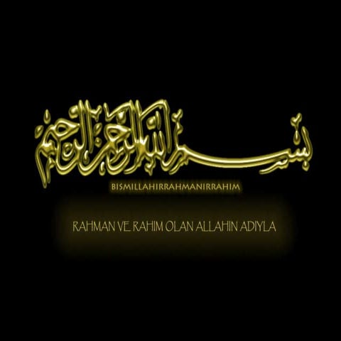 PARLIAMENT AND STRUCTURE OF FEDERAL GOVERNMENT