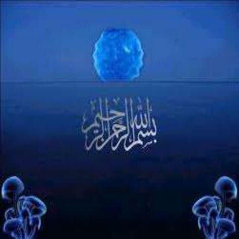 powders and granules presentation